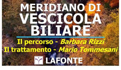 11. copertina Meridiano di Vescicola Biliare